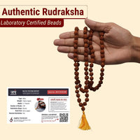 5 Mukhi Brown Rudraksha Mala - 108+1 Beads