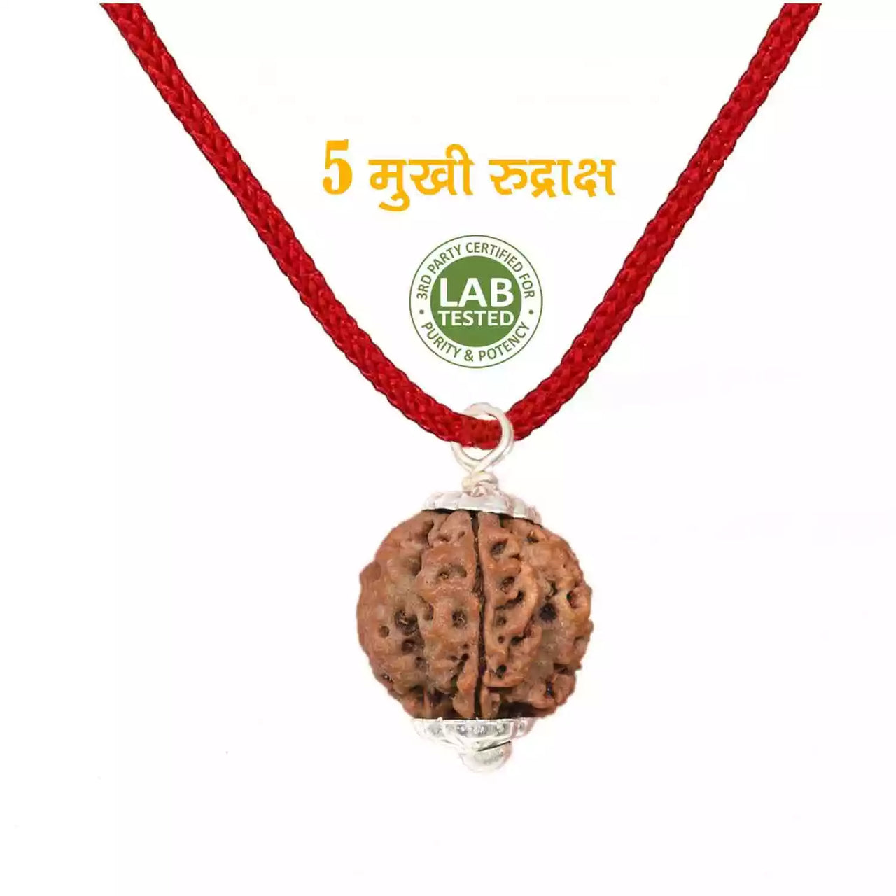5 Mukhi Rudraksha Pendant with Red Thread – Lab Certified & Energized