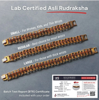 Authentic 5 Mukhi Rudraksha Bracelet – Divine Energy, Stylish Protection