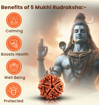5 Mukhi Rudraksha Pendant with Red Thread – Lab Certified & Energized