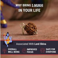 5 Mukhi Rudraksha Pendant with Red Thread – Lab Certified & Energized