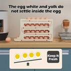 Automatic Rolling Large Capacity Refrigerator Egg Holder