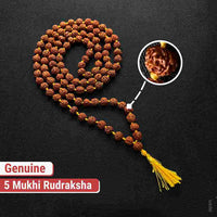 5 Mukhi Brown Rudraksha Mala - 108+1 Beads